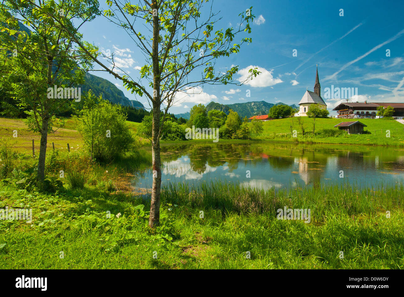 Bayern Europa oberen Bayern Chiemgau Inzell Einsiedl Einsiedel Seeufer Teich Wasser nass Bereich Reed Grass Stille Stockfoto