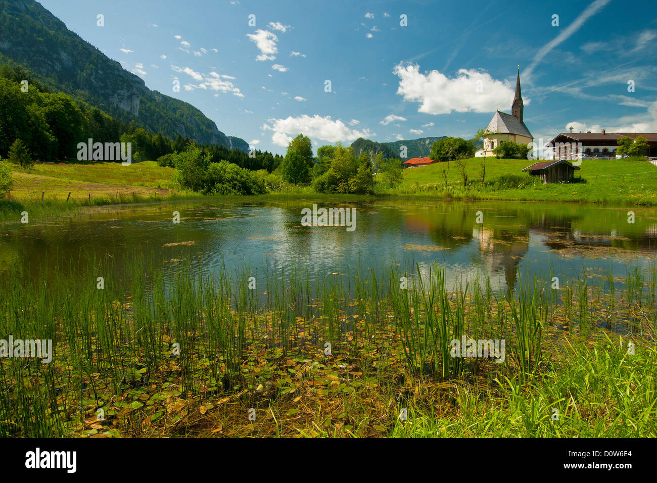 Bayern Europa oberen Bayern Chiemgau Inzell Einsiedl Einsiedel Seeufer Teich Wasser nass Bereich Reed Grass Stille Stockfoto