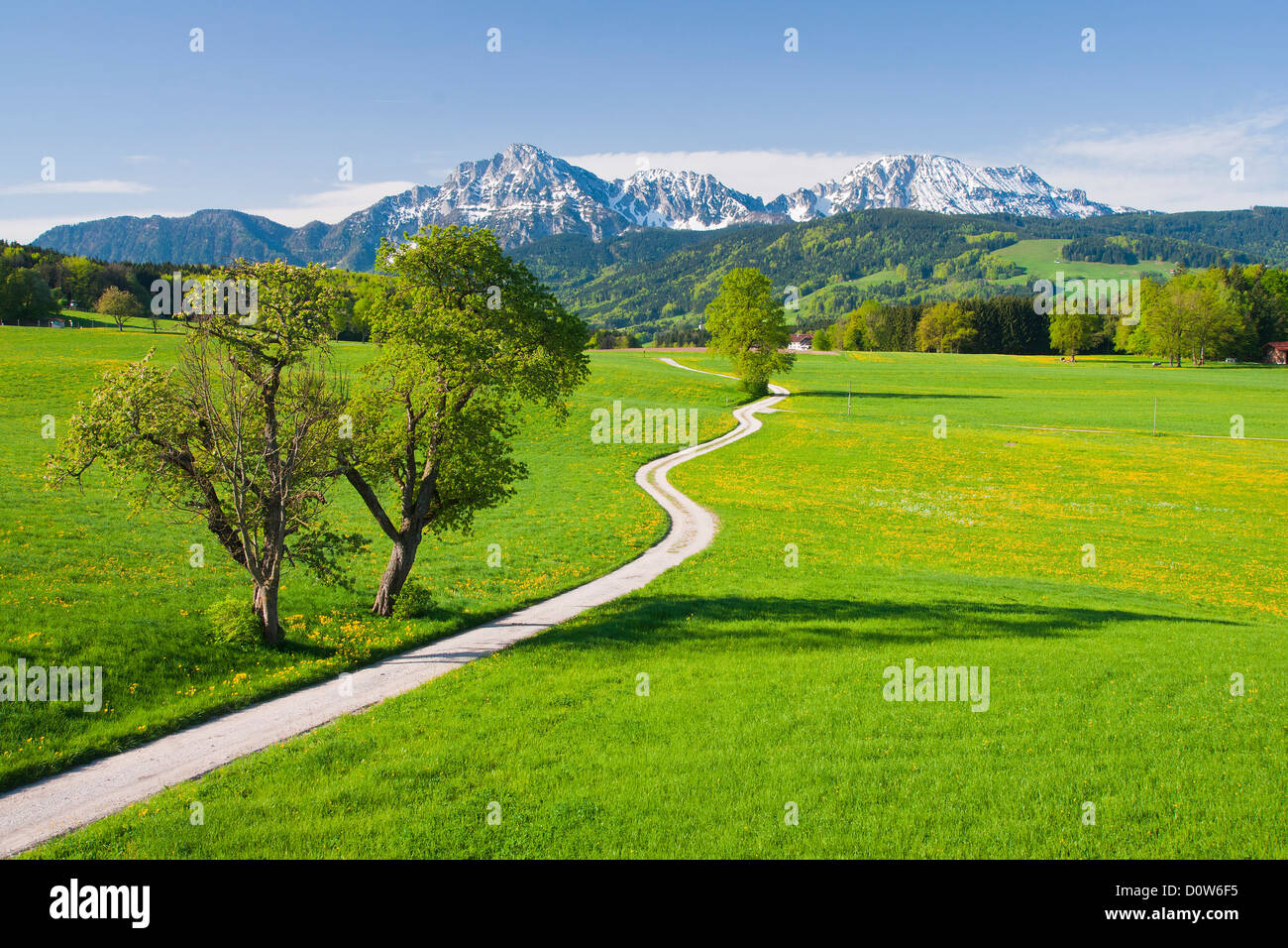 Bayern, Europa, Oberbayern, Landschaft, Landwirtschaft, Landwirtschaft, ländliche, Himmel, Schleier Wolken, Wolke, m, Berg, Hochstaufen, Staufen Stockfoto