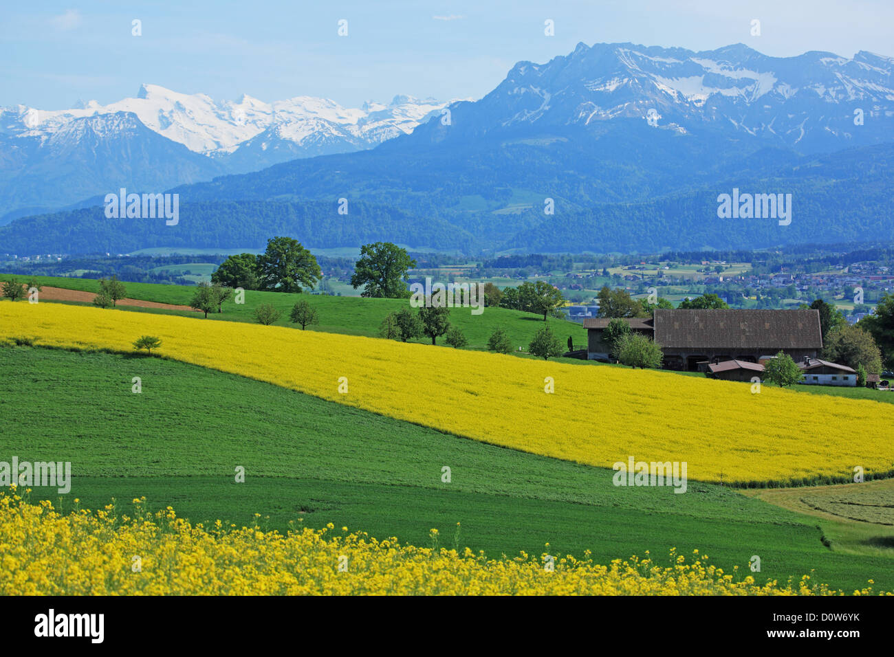 Schweiz, Kanton Luzern, Sempach Stockfoto