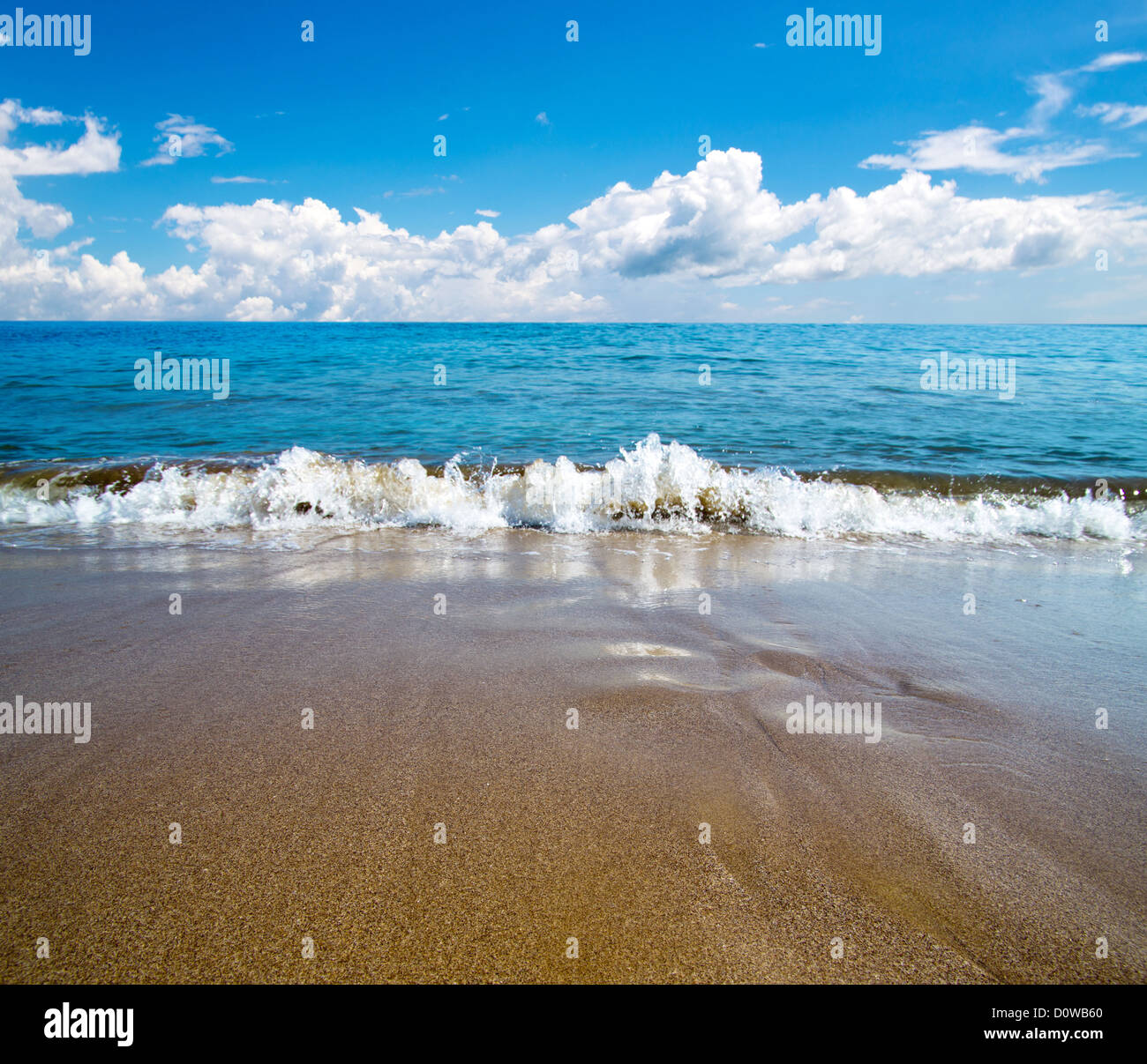 schöner Strand und tropischen Meer Stockfoto