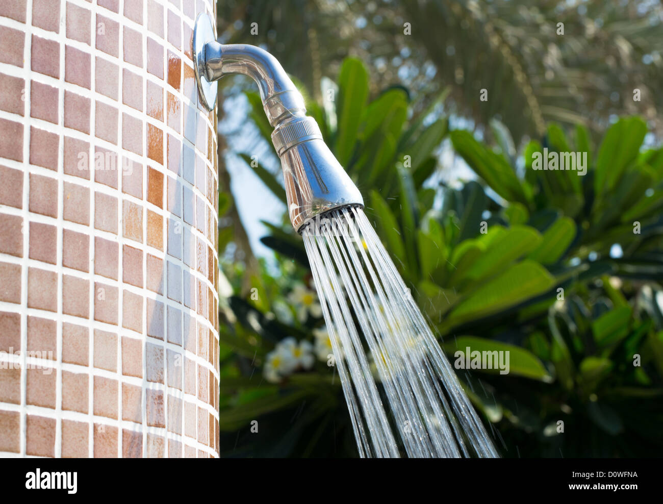 Tropisch, die erfrischende Dusche unter Palmen Stockfoto