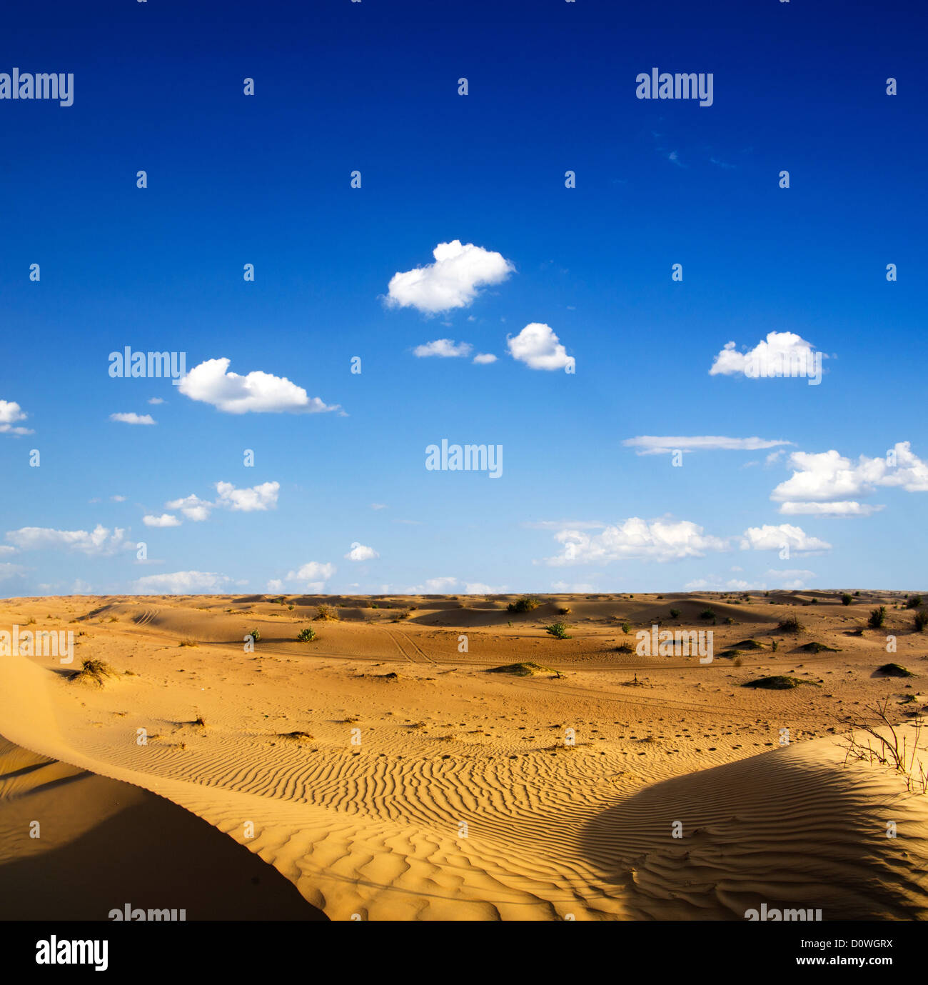 Wüstenlandschaft mit blauem Himmel Stockfoto