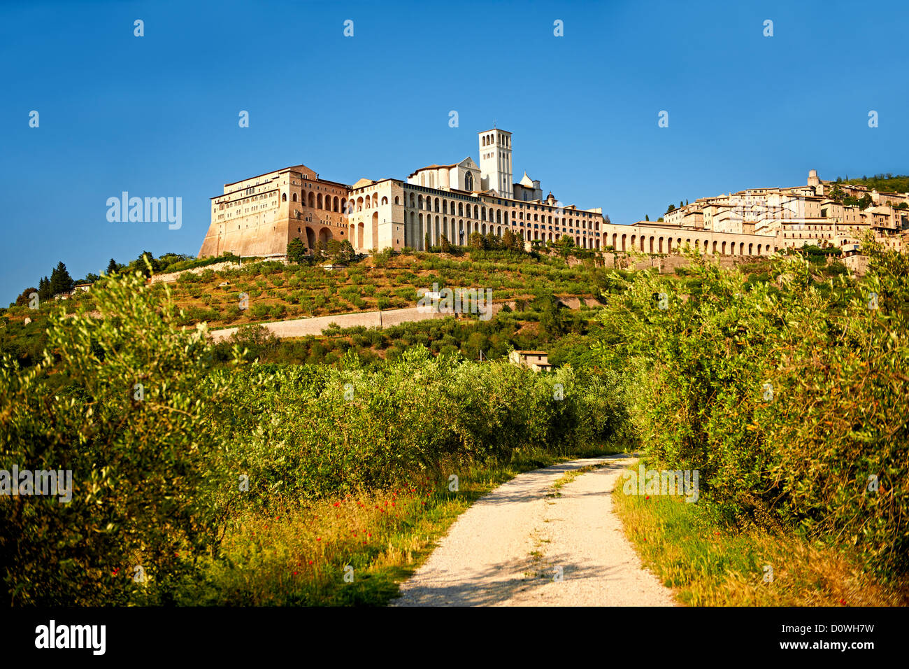 Basilika St. Francis von Assisi, (Basilica Papale di San Francesco) Assisi, Italien Stockfoto