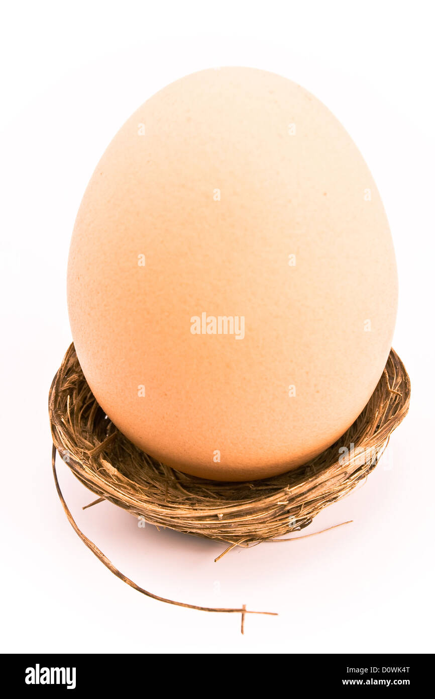 Ein Ei in kleine Nest isoliert auf weiss Stockfoto