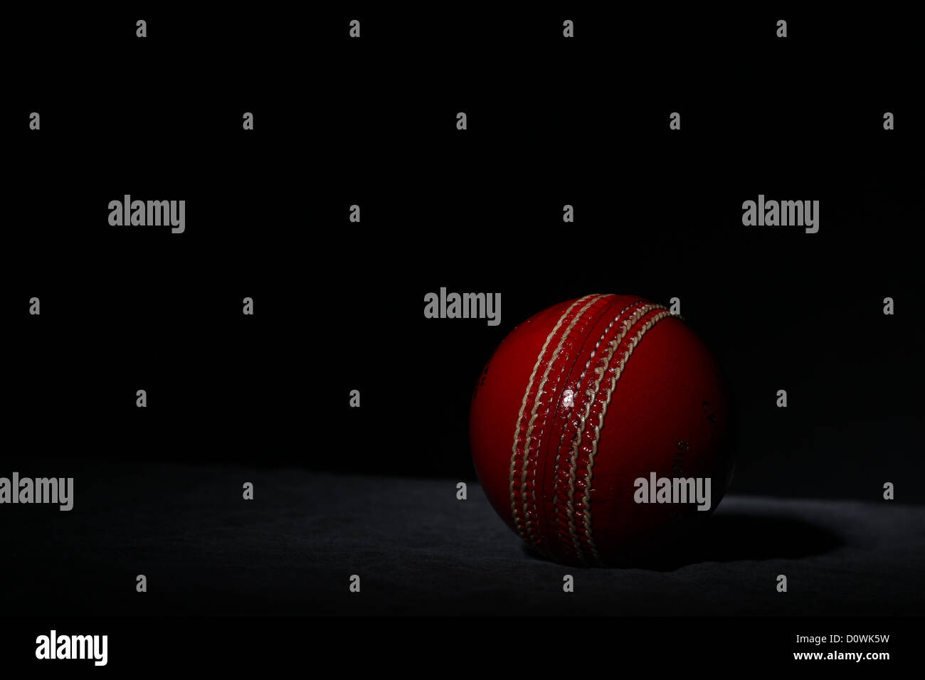 Eine Studioaufnahme von Gray Nicolls Cricketball zeigt die Naht und Naht. Stockfoto
