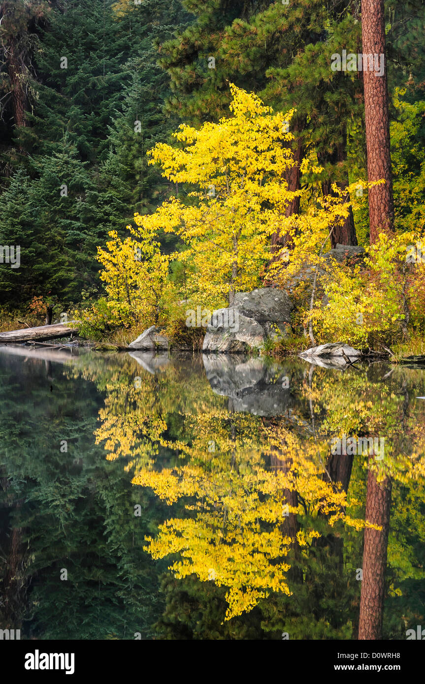 Herbstfarben im Verborgenen See, Okanogan-Wenatchee National Forest, Cascade Mountains, Washington. Stockfoto