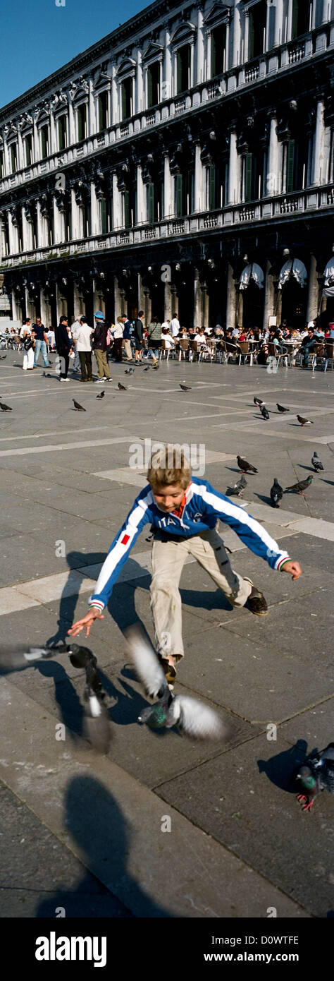 Eine junge Taube über die Piazza San Marco zu jagen. Venedig, Italien. Stockfoto