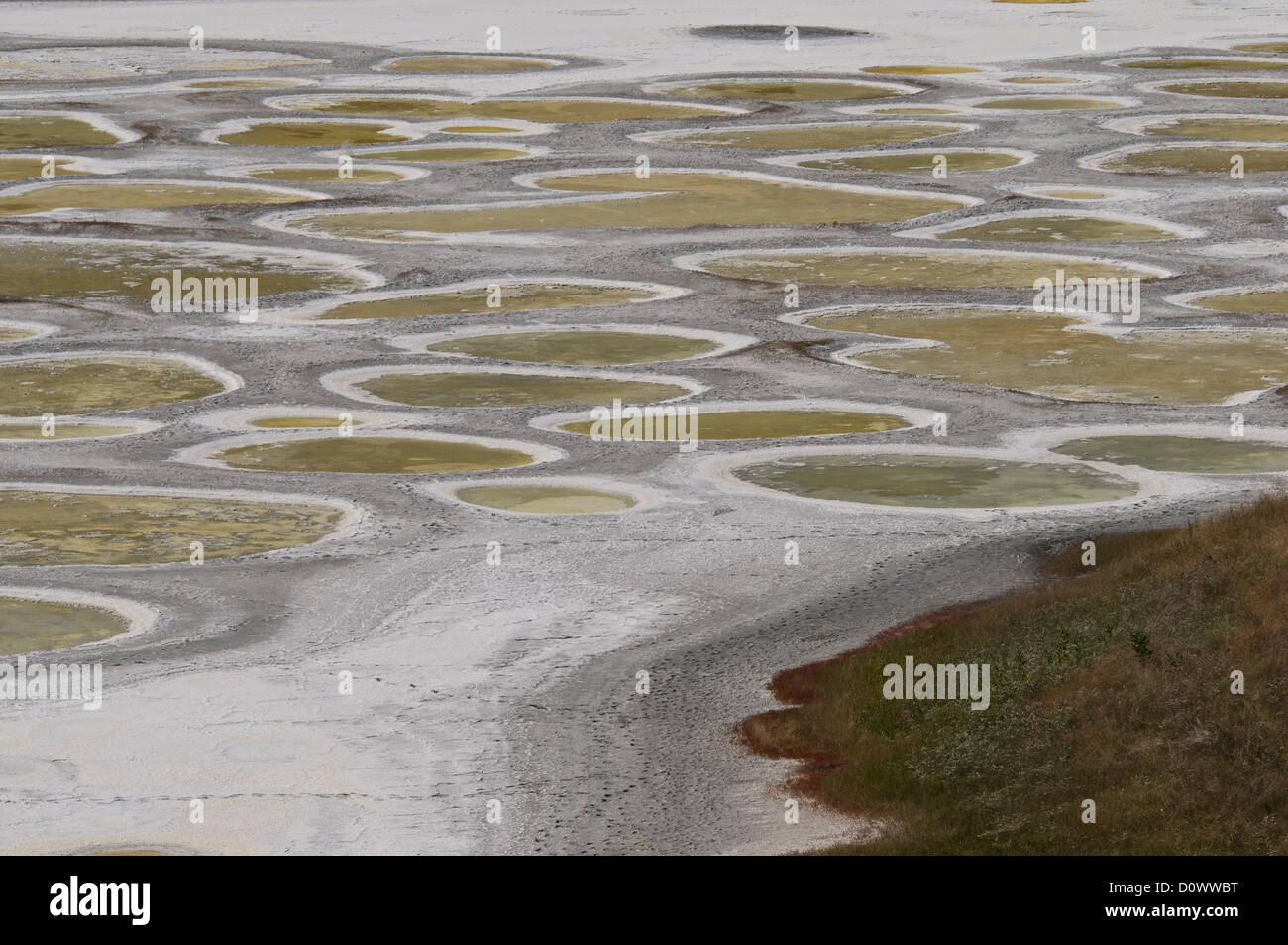 Die gefleckte See, Osoyoos, Britisch-Kolumbien, Kanada Stockfoto