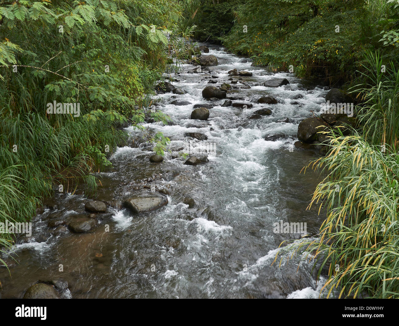 Wildwasser-Fluss in Sarapiqui Tal, Costa Rica; Zentralamerika Stockfoto