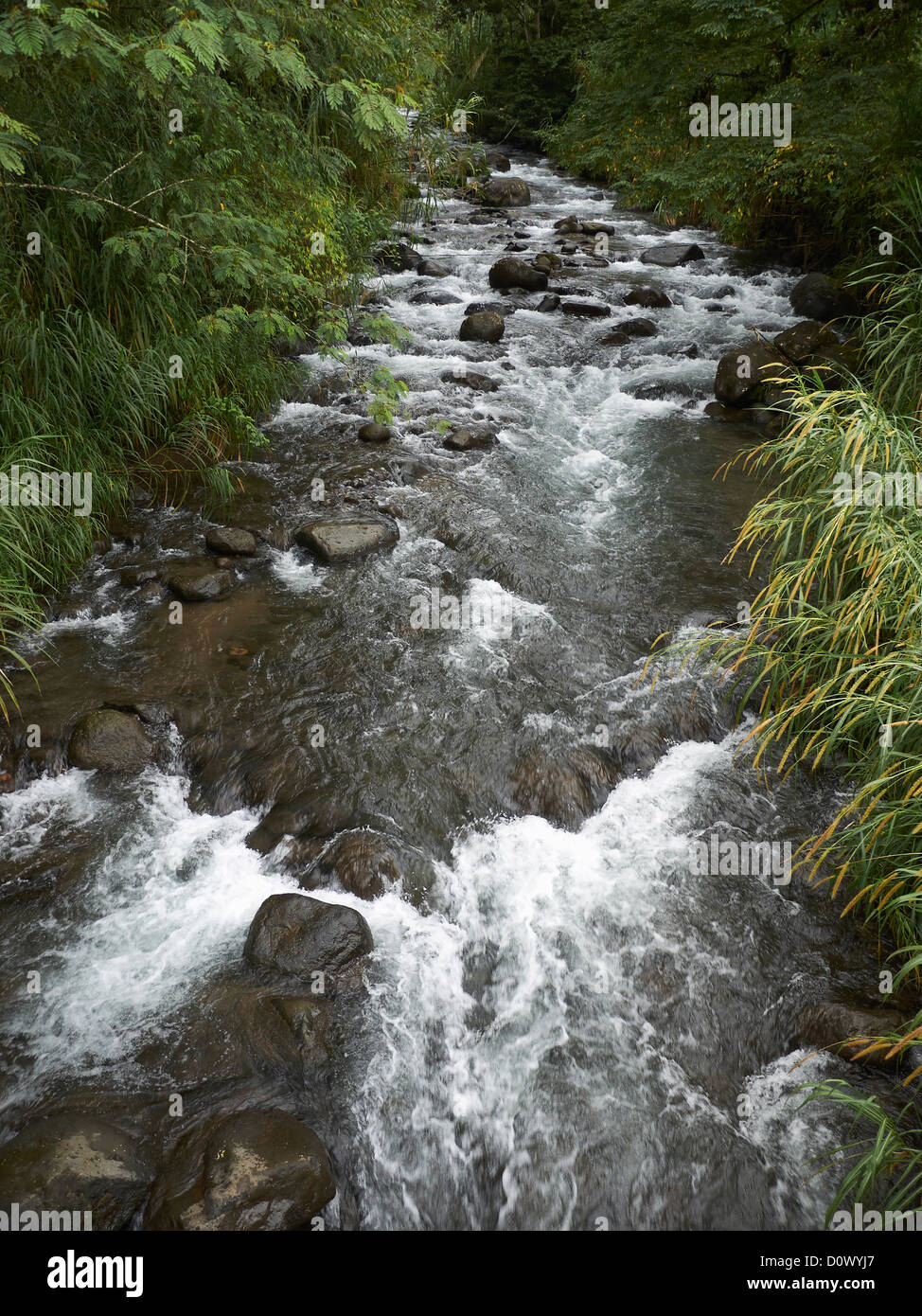 Wildwasser-Fluss in Sarapiqui Tal, Costa Rica; Zentralamerika Stockfoto