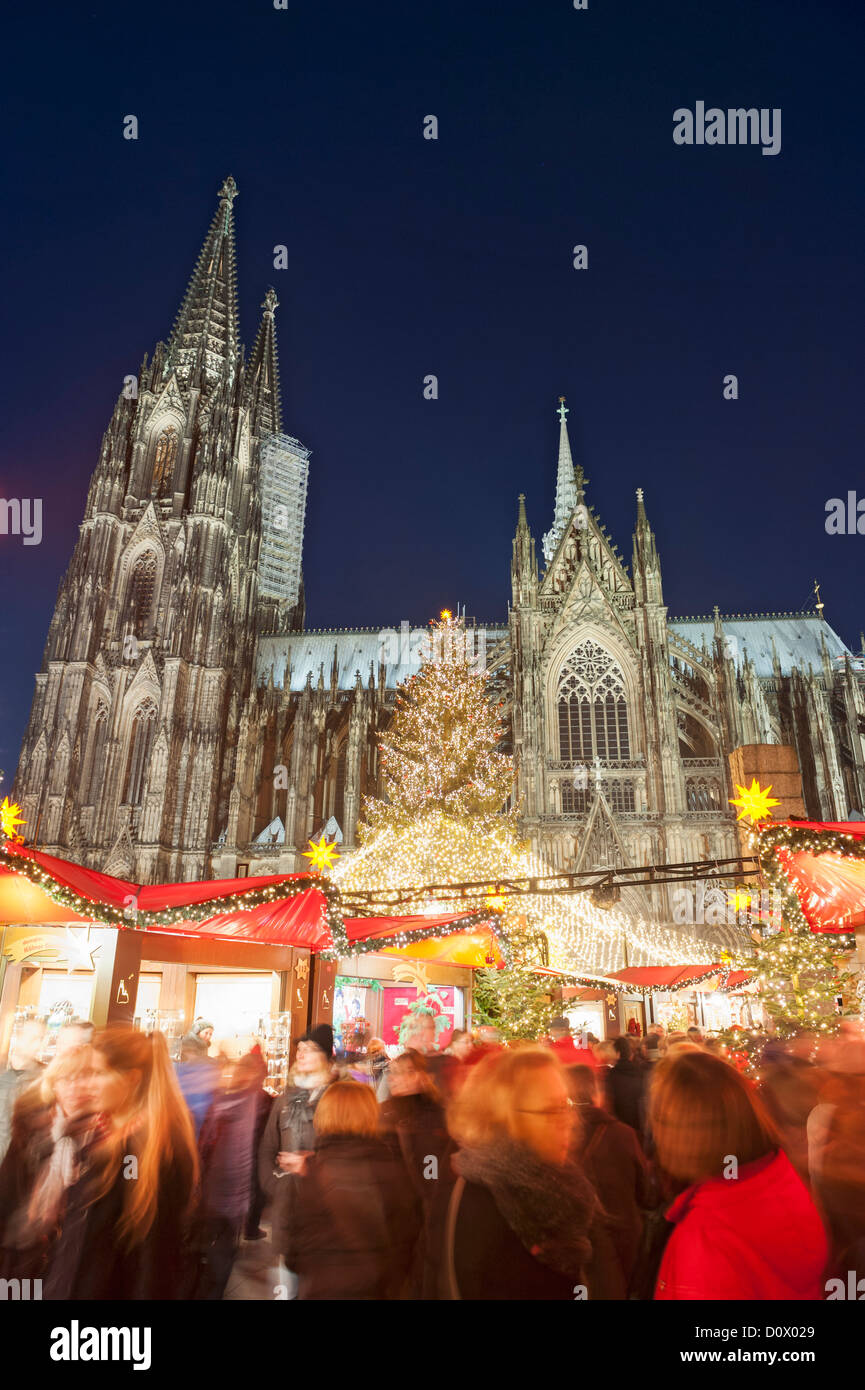 Kölner Weihnachtsmarkt am nachts die Kathedrale in Winter-Deutschland beschäftigt Stockfoto