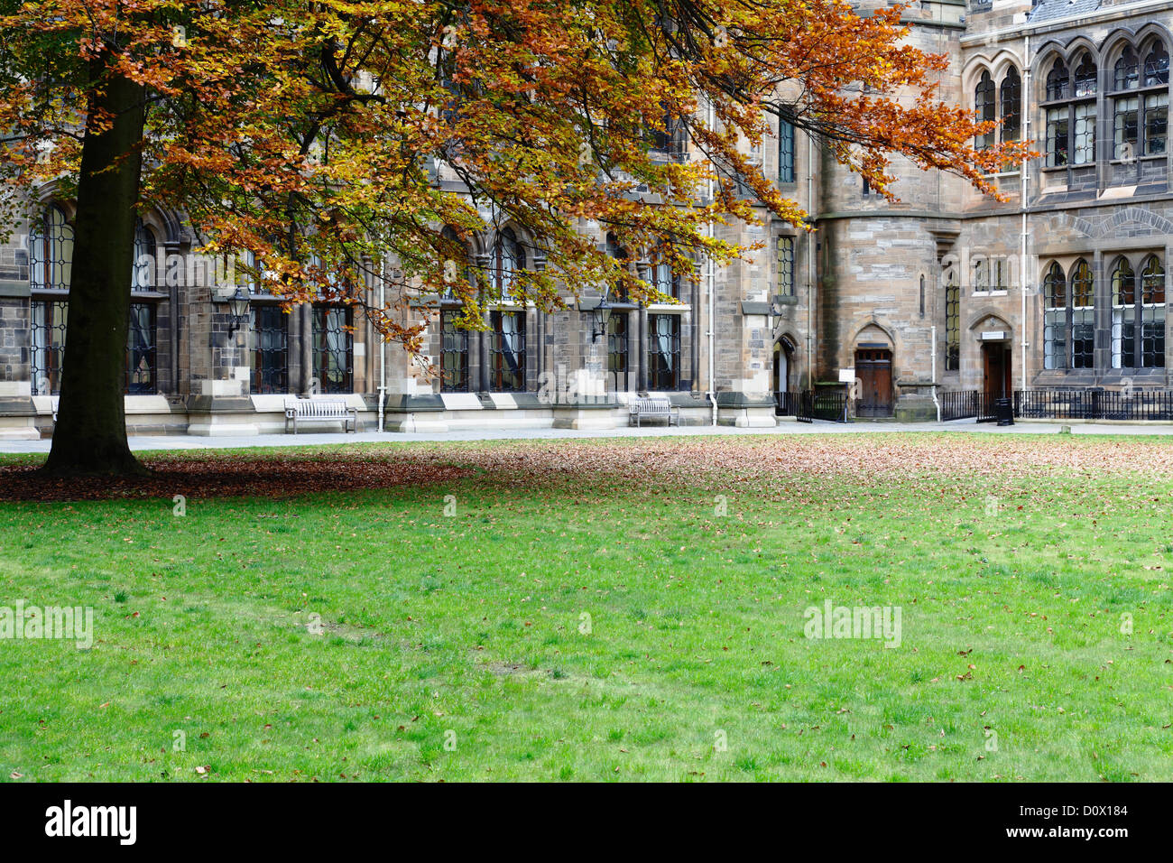 Der Osten Viereck im Herbst auf dem Campus der University of Glasgow in Glasgow, Schottland Stockfoto