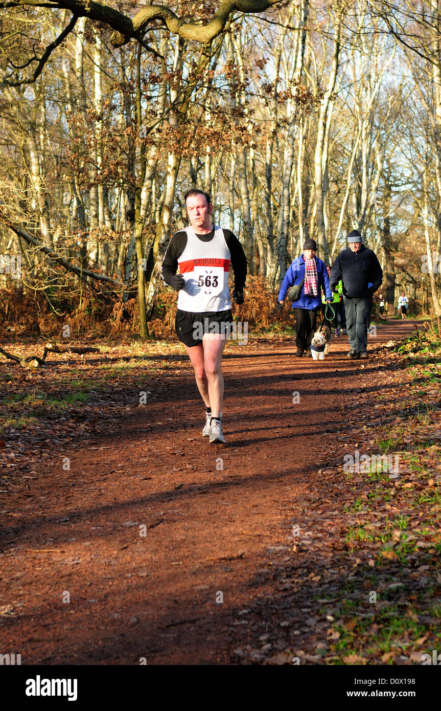 2. Dezember 2012. Läufer Teilnahme im Edwinstowe Weihnachten 10k Rennen, Sherwood Forest Nottinghamshire. VEREINIGTES KÖNIGREICH. Stockfoto