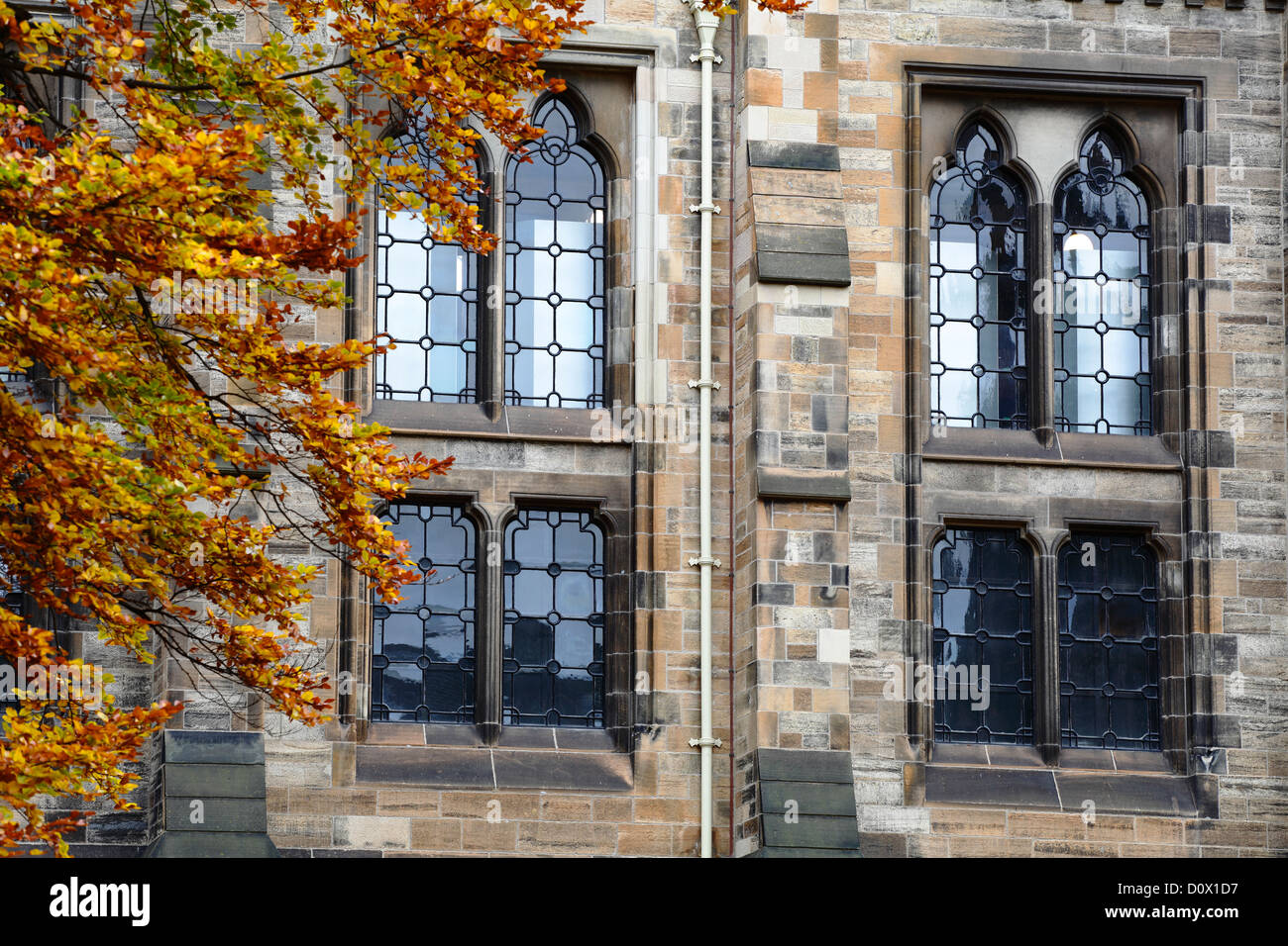 Detail von Bleifenstern im East Quadrangle im Herbst auf dem Campus der University of Glasgow auf Gilmorehill in Glasgow, Schottland, Großbritannien Stockfoto