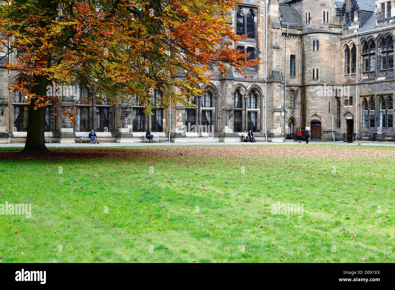 Der Osten Viereck im Herbst auf dem Campus der University of Glasgow in Glasgow, Schottland Stockfoto