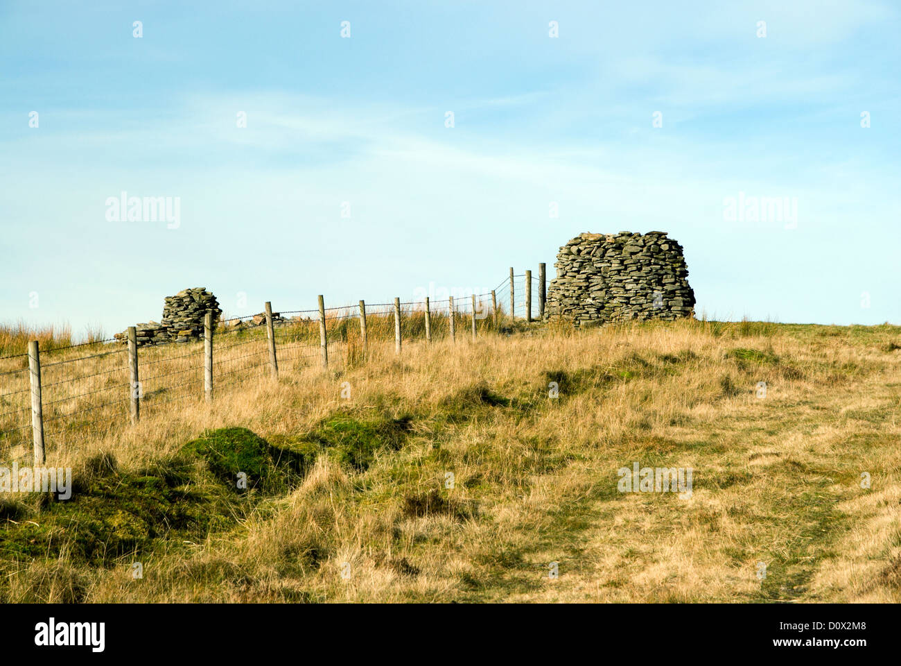 Carn Fawr antike Monument Mynydd William Meyrick die Talebene Ogwr Süd wales uk Stockfoto