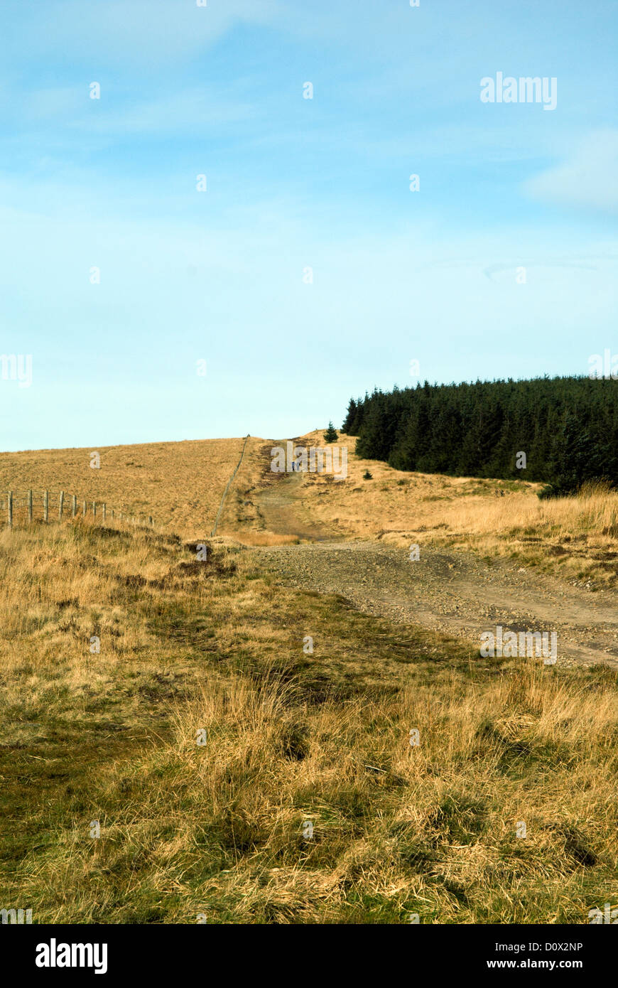 Weg am Hang oberhalb Ogwr Tal Süd wales uk Stockfoto