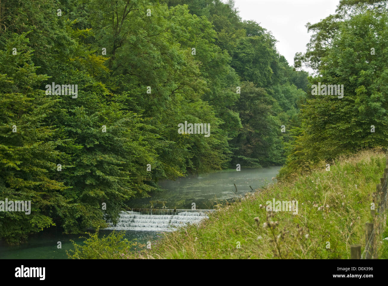 Landschaft Natur Fluss Lathkill, Peak District, Derbyshire, England, Grossbritannien Stockfoto