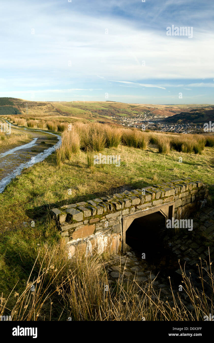 Pfad durch Mynydd Maendy, Treorchy, Rhondda Valley, Südwales großbritannien Stockfoto