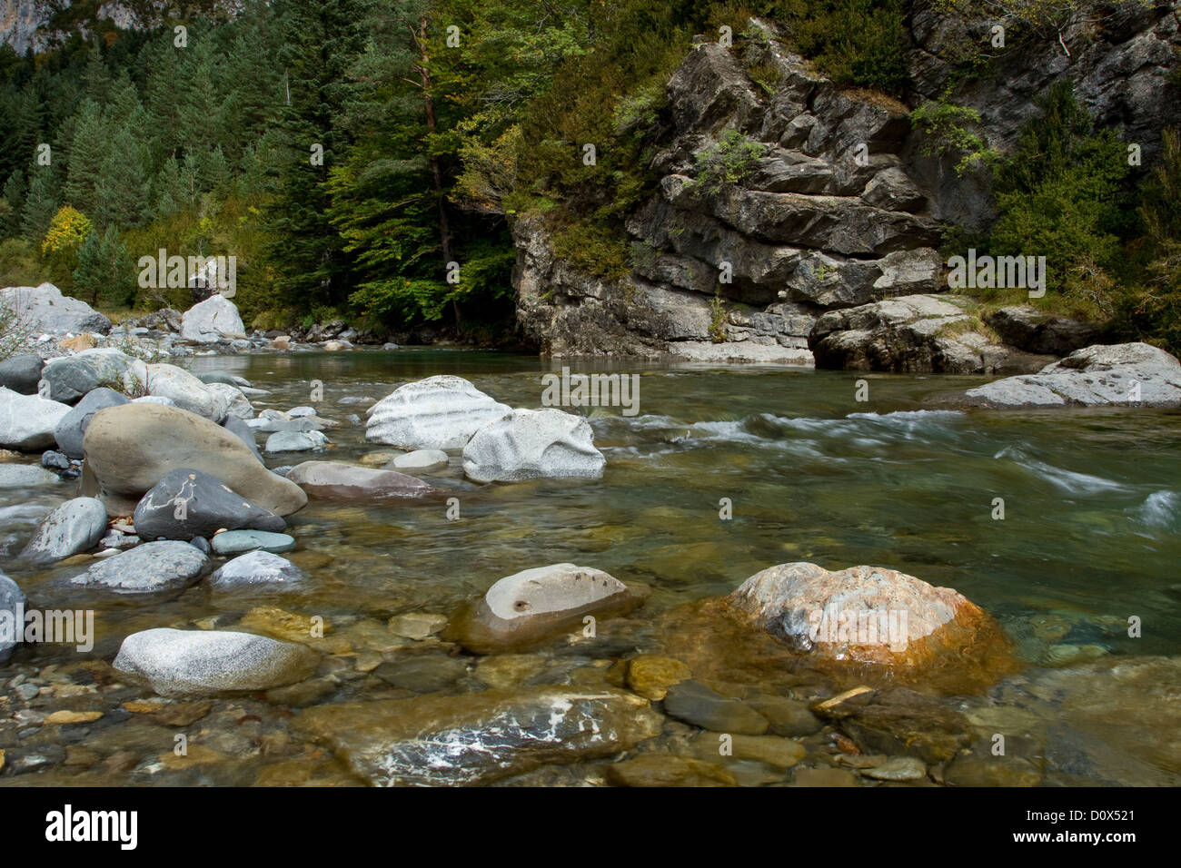 Ara-Fluss im Bujaruelo Tal. Ordesa Nationalpark. Pyrenäen, Stockfoto