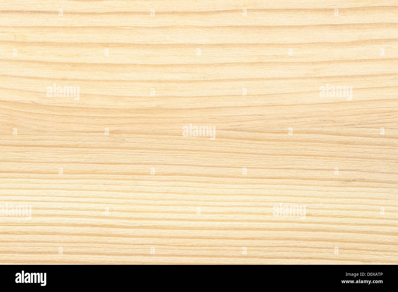 detaillierten weichen hellen Holz Hintergrund Stockfoto