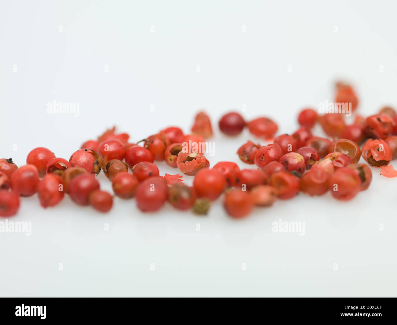 Red pep äh Makro auf Polyesterband Hintergrund Stockfoto