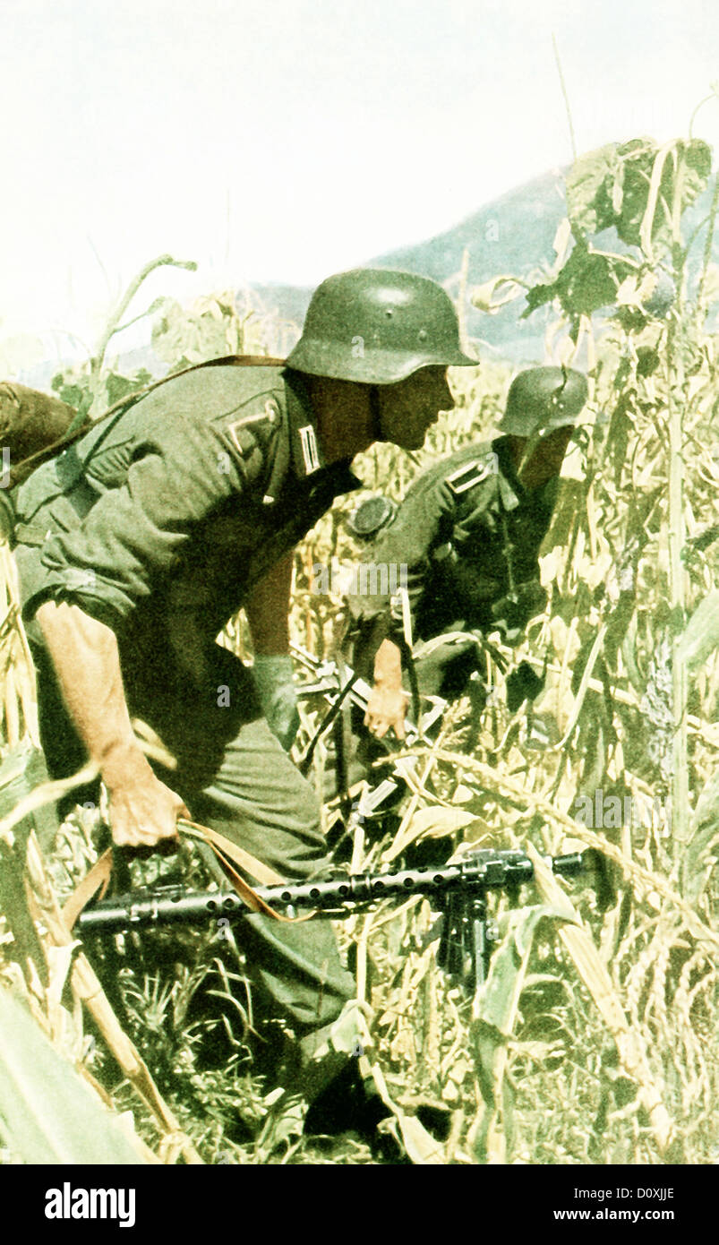 Betrieb, Barbarossa, zwei, Soldaten, Maisfeld, Maschinengewehr, Pistole, Invasion, UdSSR, Zweiter Weltkrieg, 1942 Stockfoto