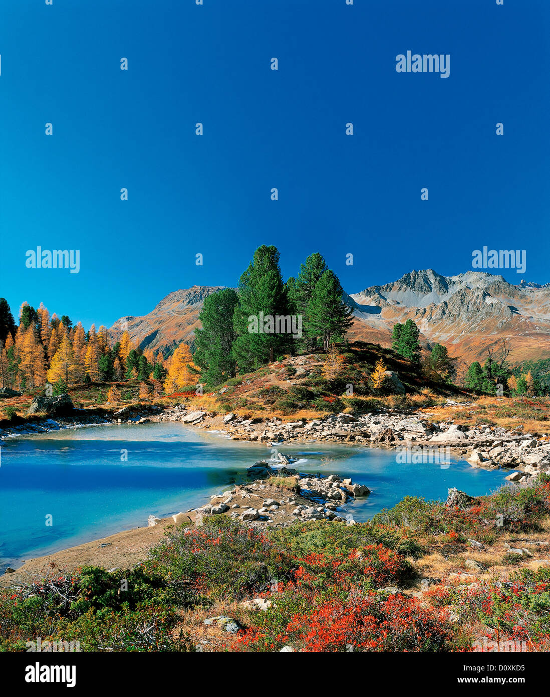 Österreich, Europa, Tirol, Tirol, Paznaun, Paznauntal, Ischgl, Mathon, Berglisee, See, Bergsee, Herbst, Zirben, Lärchen, Wat Stockfoto