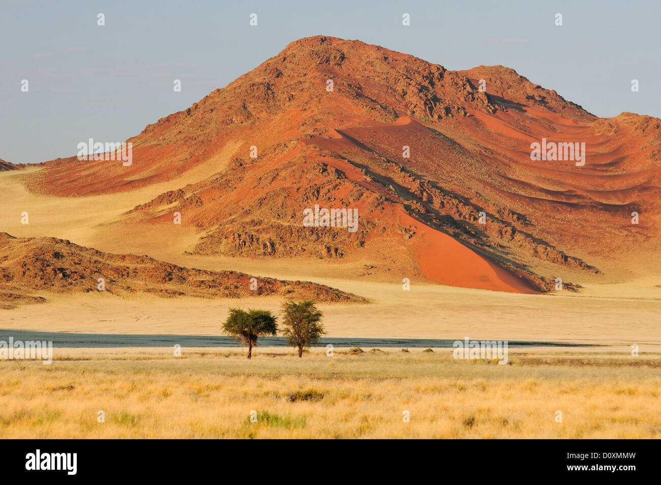 Afrika, Dünen, Namib, Naukluft, Park, Namibia, Sossusvlei, Bäume, Wüste, Berge, Ebenen, rot, Sand, Felsen, Savannah Stockfoto