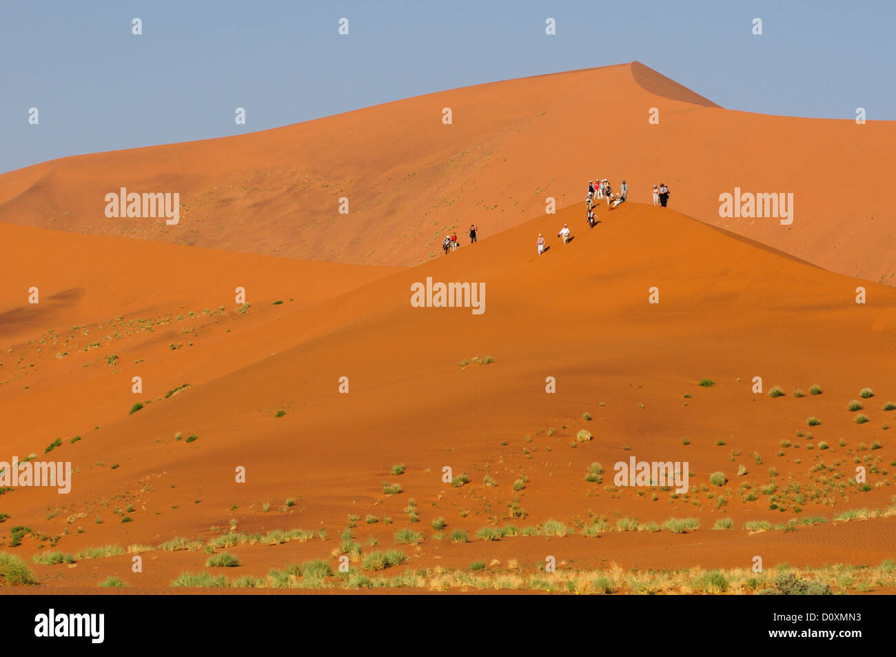 Afrika, Dünen, Wandern, Hills, Namib, Naukluft, Park, Namibia Sossusvlei. Menschen, Wüste, Wanderung, Horizontal, Männer, Menschen, Pyramide Stockfoto