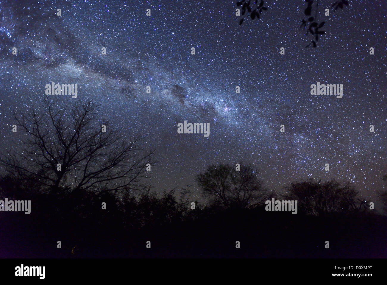 Africa, Southern, Namibiai, Nacht, Himmel, Sterne, Astro, Fotografie, spangled Himmel, Sternenhimmel, Grootfontein Stockfoto