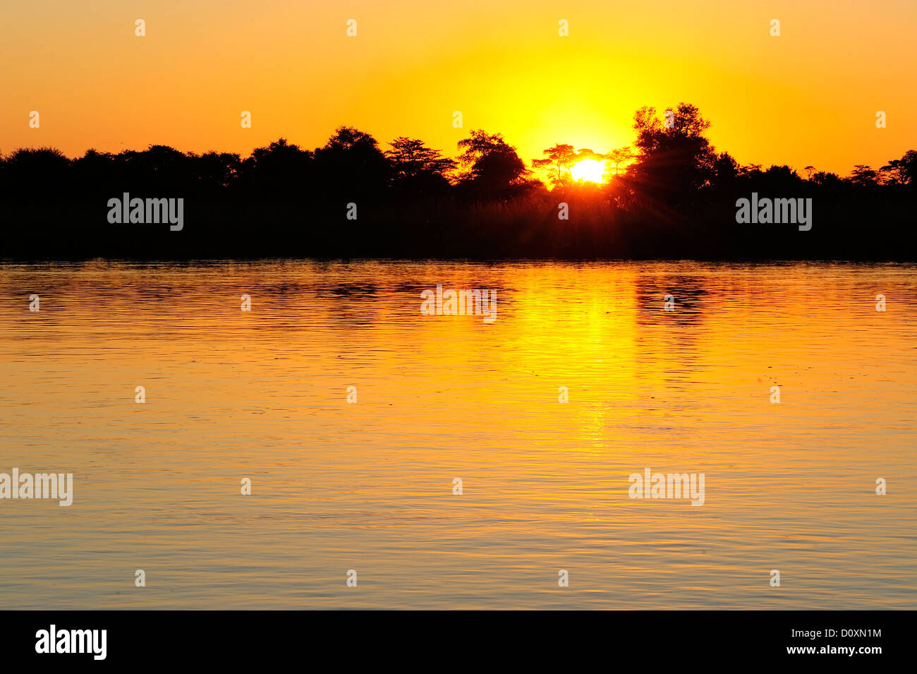 Afrika, Namibia, Okavango, Fluss, Sonnenaufgang, Landschaft, Wasser Stockfoto