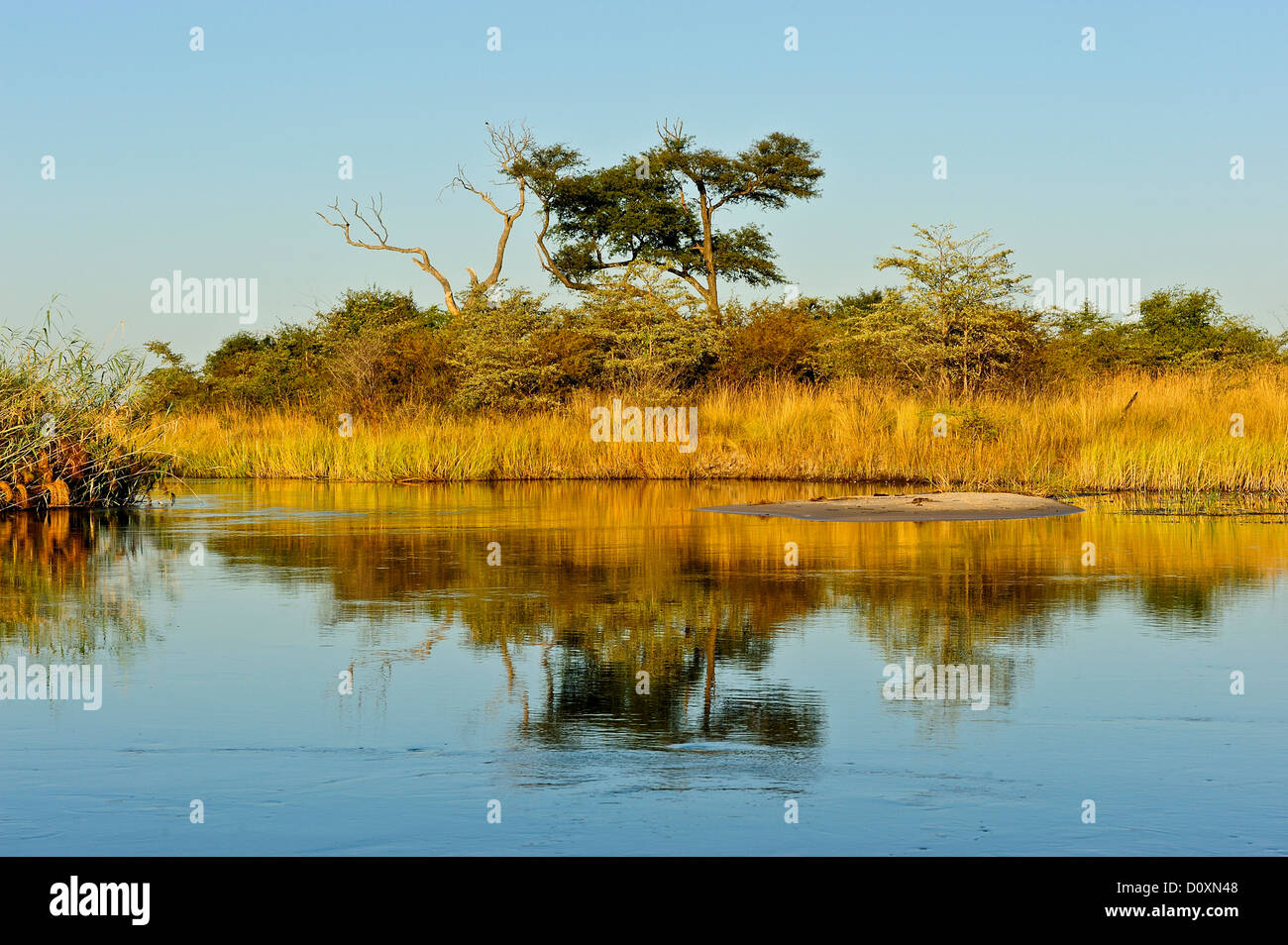 Afrika, Bwa Bwata, National Park, Caprivi, Namibia, Grasland, Horizontal, Savanne, sonnig, Baum, Wasser, Wasserstelle Stockfoto
