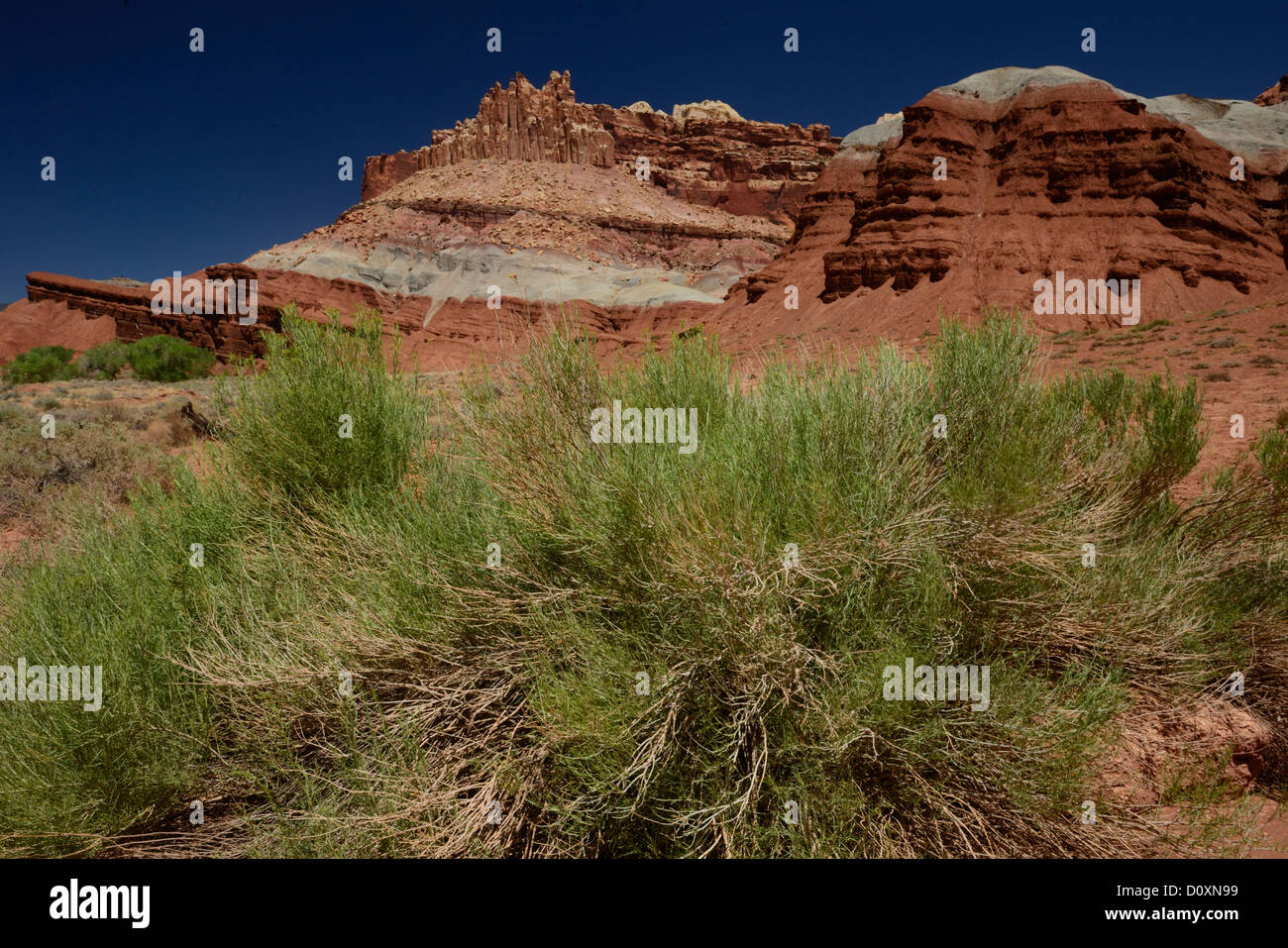 Amerika USA Vereinigte Staaten Colorado Plateau Utah Erosion Wüste Capitol Reef National Park Schloss roten Felsen aus Sandstein Stockfoto