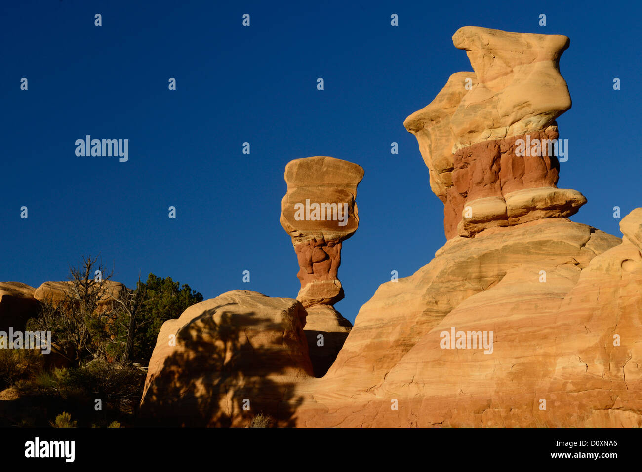 Amerika, USA, USA, Colorado Plateau, Utah, Devils Garden, Freitreppe, Nationaldenkmal, Felsen, Hoodoo, Sandstein Stockfoto