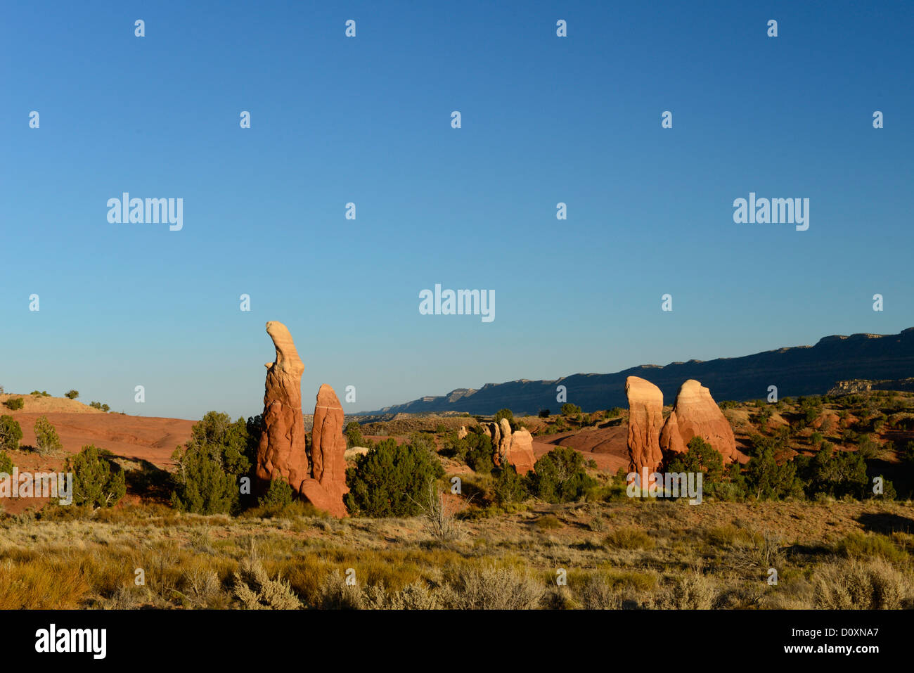 Amerika, USA, USA, Colorado Plateau, Utah, Devils Garden, Freitreppe, Nationaldenkmal, Felsen, Sandstein, erosio Stockfoto