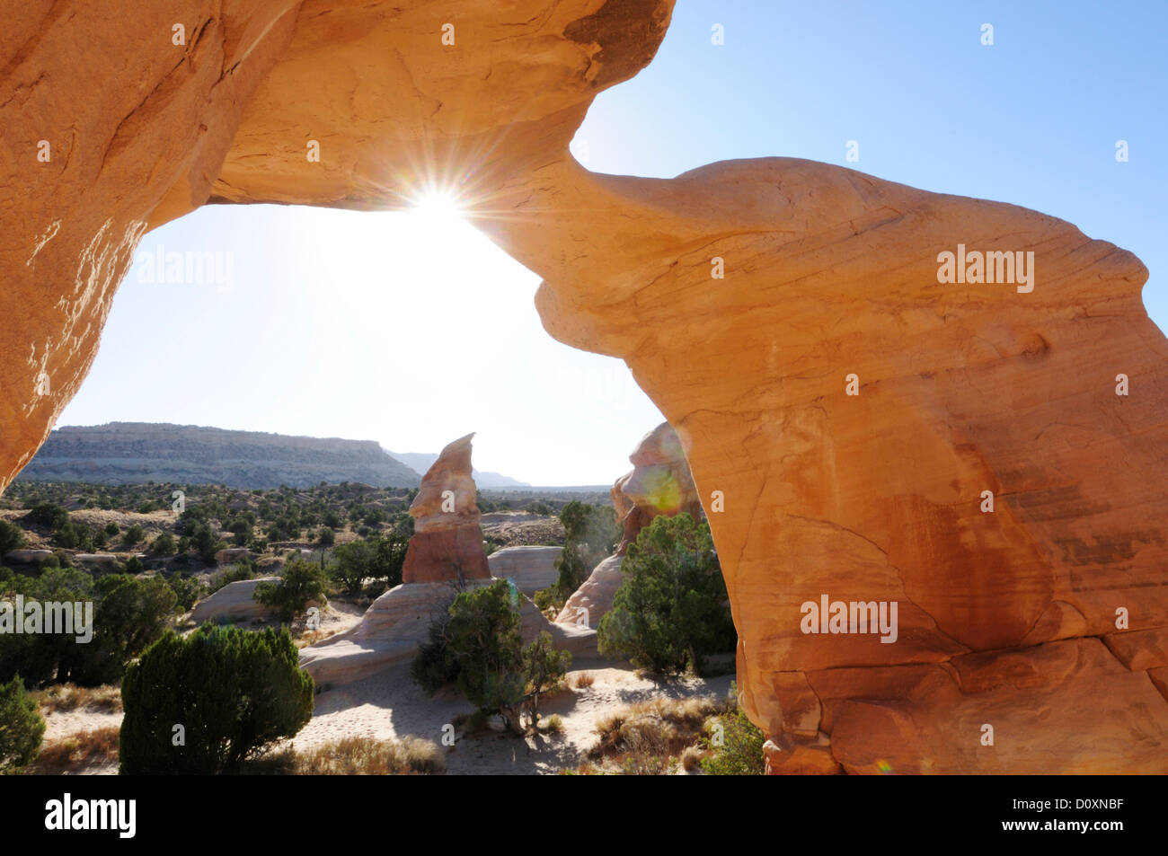 Amerika, USA, USA, Colorado Plateau, Utah, Teufels Garten, Freitreppe, Nationaldenkmal, Sandstein, Felsen, erosi Stockfoto