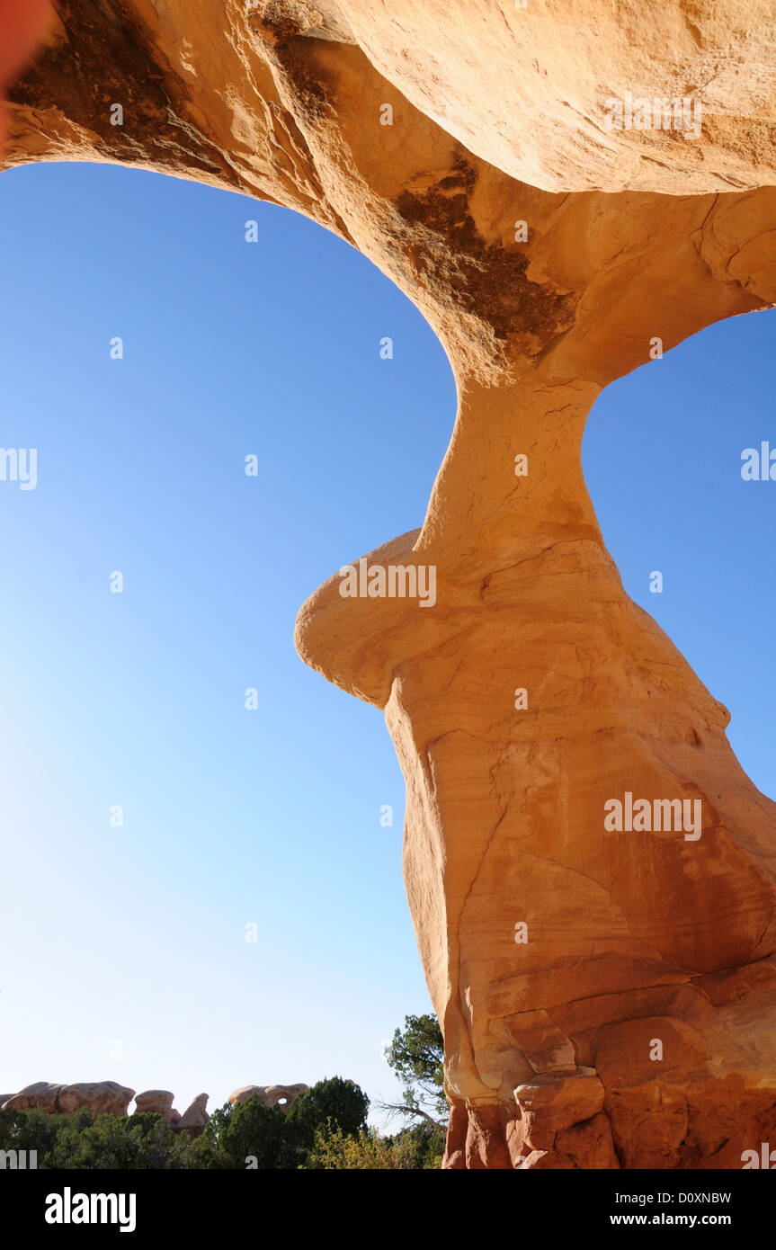 Amerika, USA, USA, Colorado Plateau, Utah, Teufels Garten, Freitreppe, Nationaldenkmal, Sandstein, Felsen, erosi Stockfoto