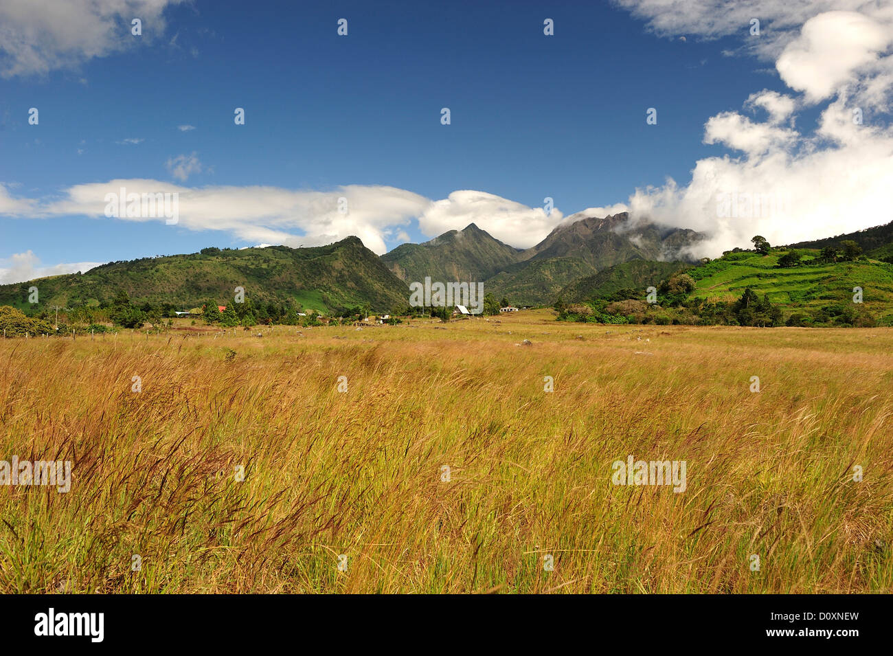 Landschaft, Volcan Baru, Panama, Mittelamerika, Feld Stockfoto