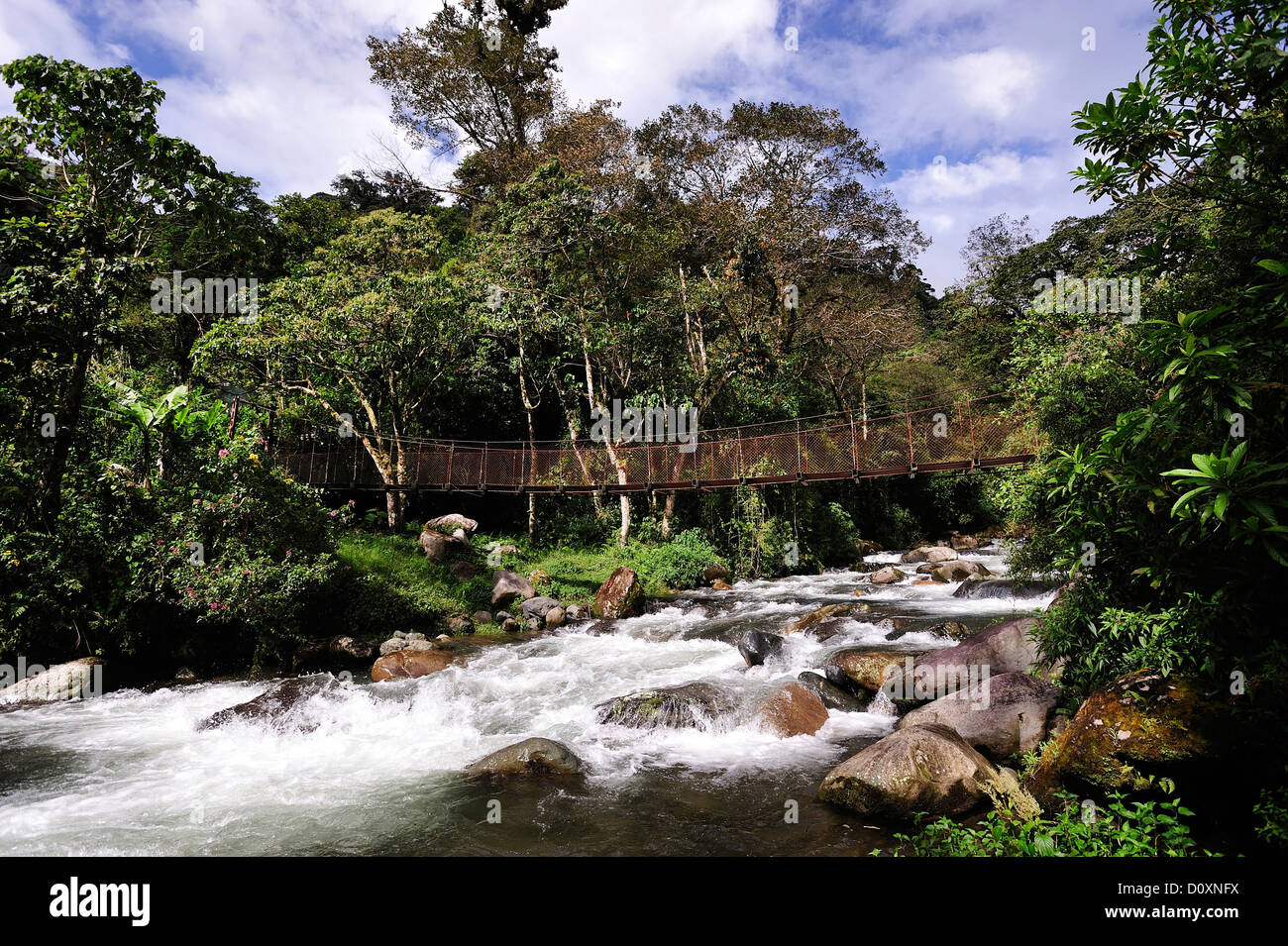 Hängende, Brücke, Creek, Parque Nacional de Amistad, national Park, UNESCO, Boquete, Panama, Mittelamerika, Stockfoto