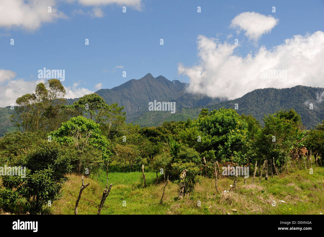 Vulkan, Landschaft, Volcan Baru, Panama, Mittelamerika, Stockfoto