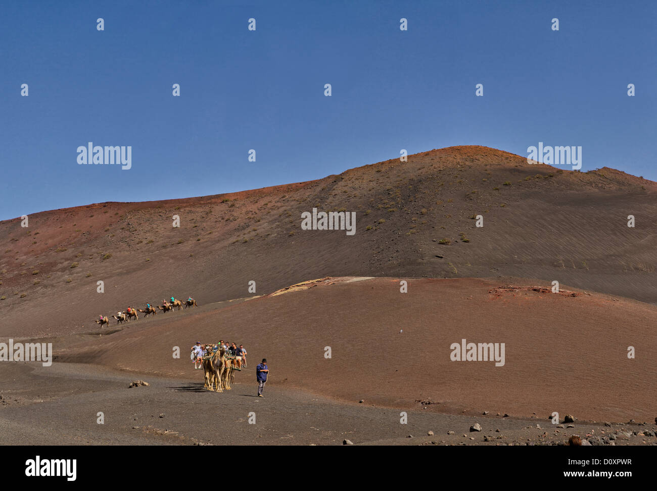 Spanien, Lanzarote, Parque Nacional, Nationalpark Timanfaya, Kamel reiten, Feuerberge, Landschaft, Sommer, Berge, Hügel, Pe Stockfoto