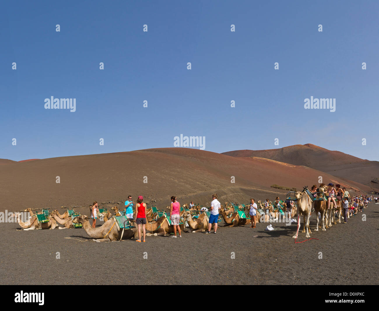 Spanien, Lanzarote, Parque Nacional, Nationalpark Timanfaya, Kamel reiten, Feuerberge, Landschaft, Sommer, Berge, Hügel, Pe Stockfoto