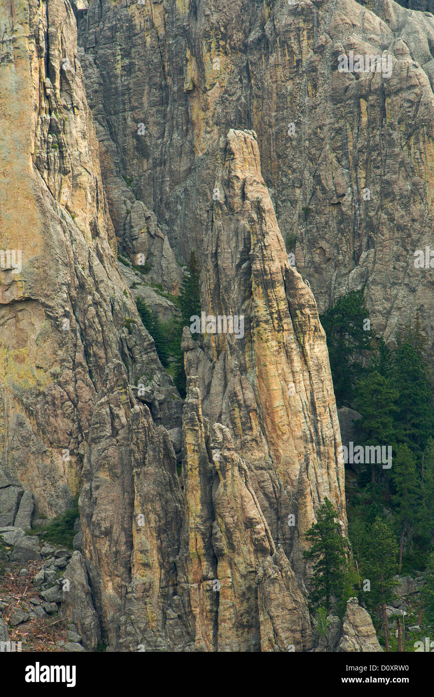 USA, USA, Amerika, Nadeln, Türme, geologische, Geologie, Black Hills, South Dakota, SD, Felsen, Formationen Stockfoto