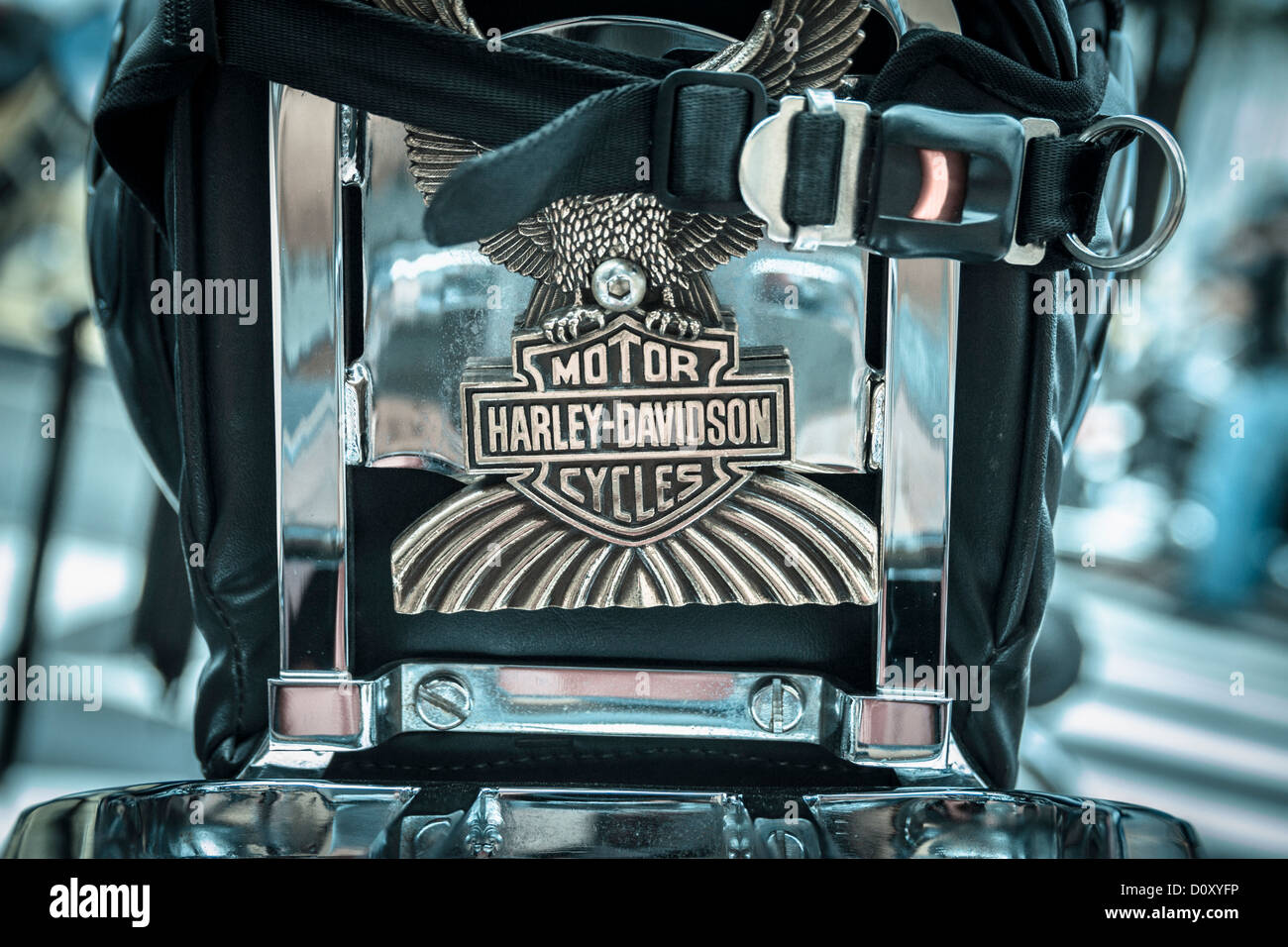 Helmut am Sitz der Harley Davidson Motorrad Stockfoto