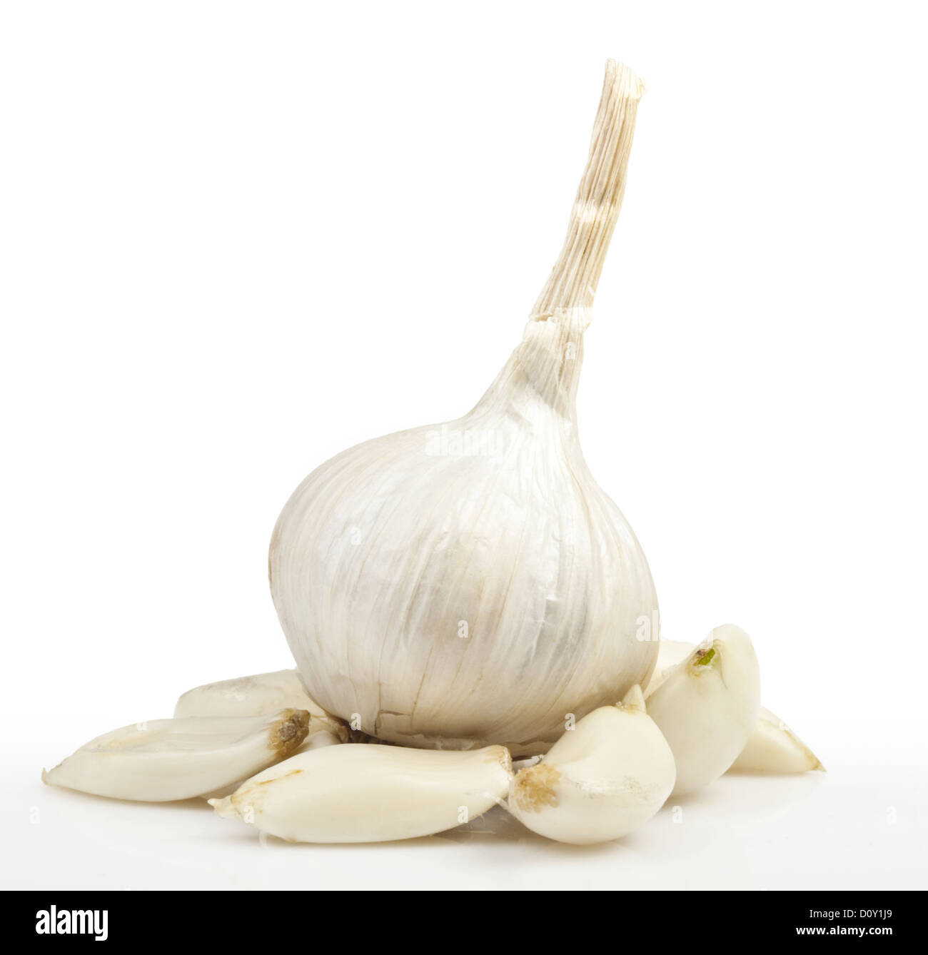 Weißer Knoblauch Stockfoto