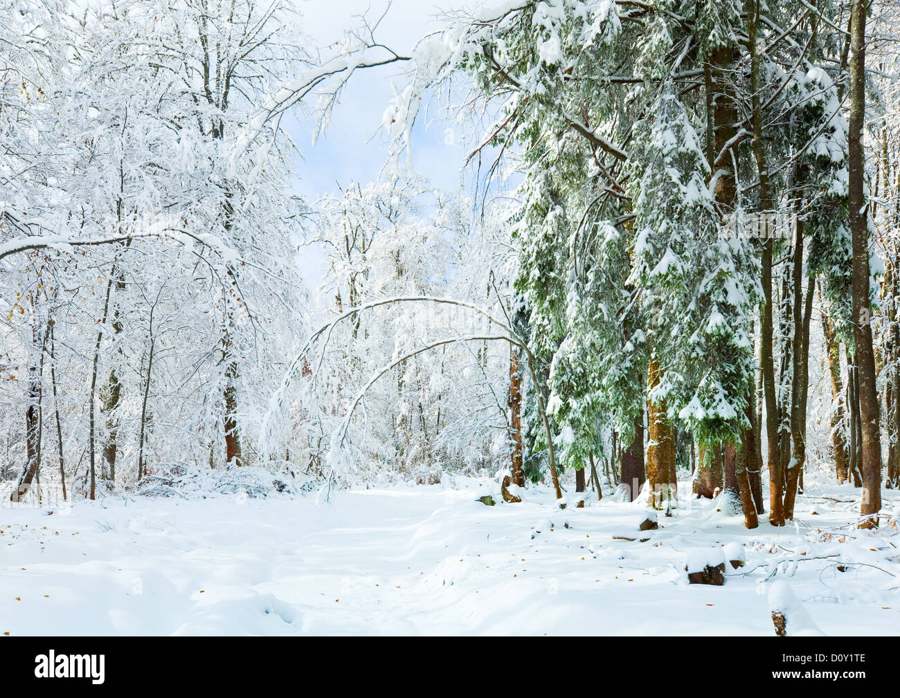 Verschneiten Winter earthroad Stockfoto
