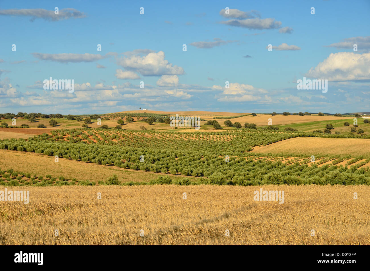 Spanische Landschaft im Frühling Stockfoto
