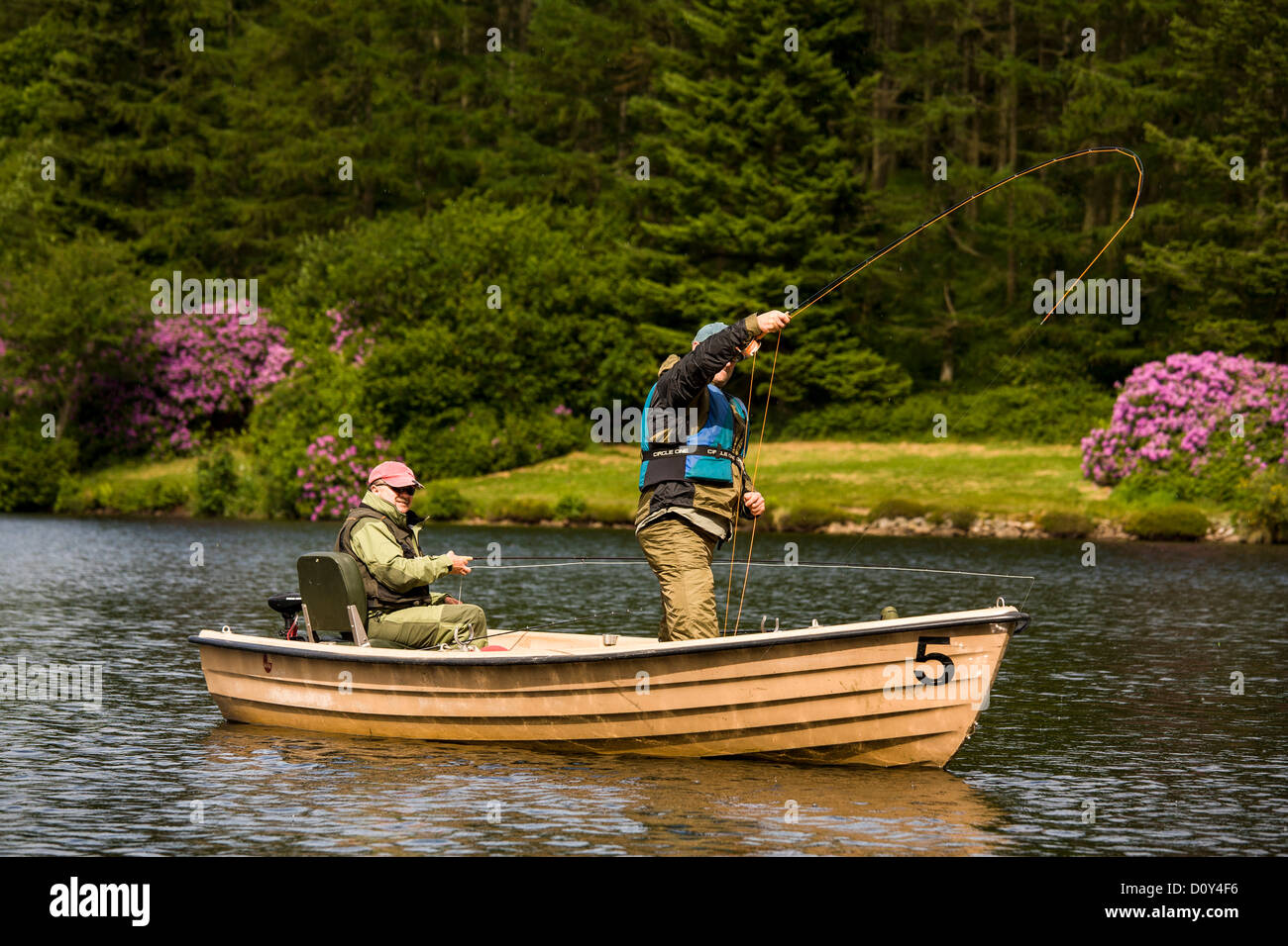 Fliegenfischen Sie Kennick Reservoir Devon. Angler spielt Fisch. Stockfoto